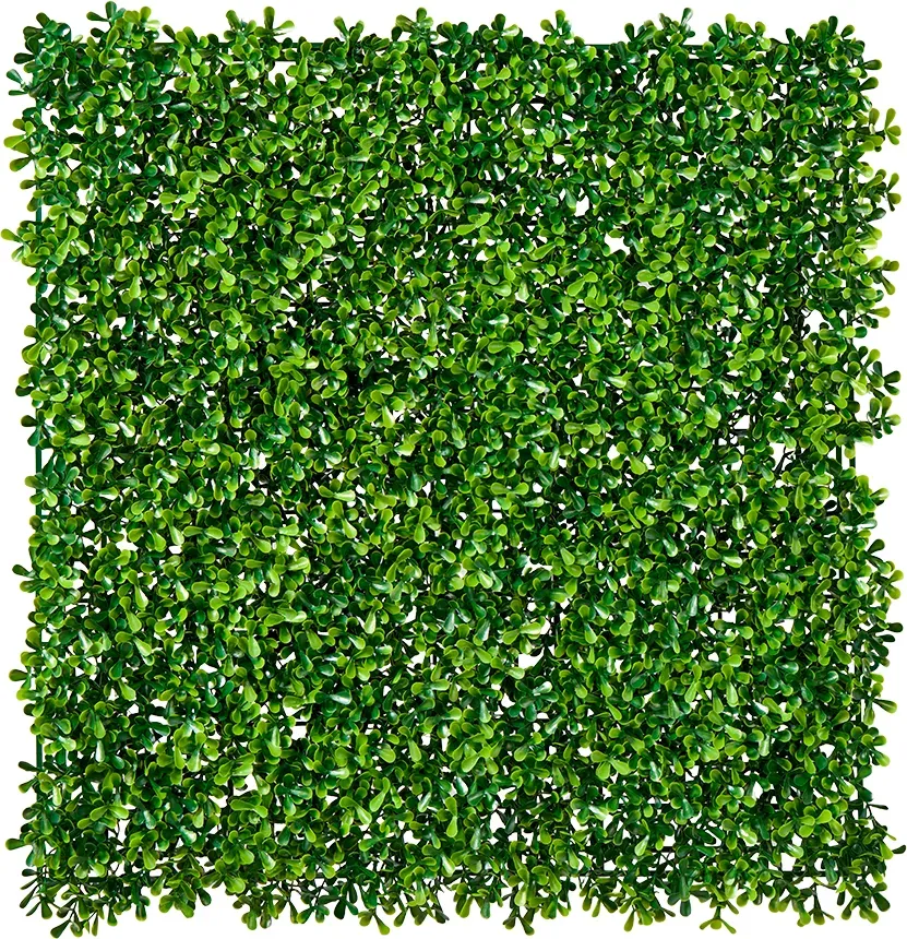 Dekoplatte 50x50cm Blätter Buchs grün