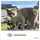 PiuPet Katzennetz 3 x 8 m transparent