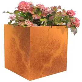 Palatino Nora 60 x 60 x 60 cm Braun