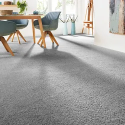 Teppichboden ANDIAMO "Verona, Velours, Made in Belgium", grau, B:500cm H:6mm L:300cm, Kunstfaser, Teppiche, Uni Farben, Breite 400 cm oder 500 cm, strapazierfähig, pflegeleicht