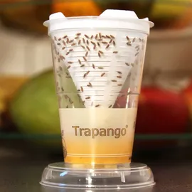 MACUR GmbH Trapango Fruchtfliegenfalle Lebendfalle 2 x