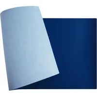 Exacompta Schreibunterlage BEE BLUE 29146E hellblau/marineblau 40x80cm 3130630291466 Exacompta