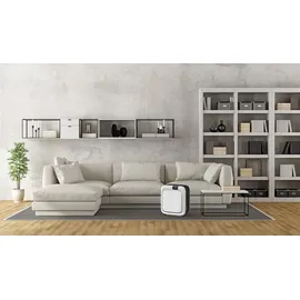 Boneco H700 Luftbefeuchter/Luftreiniger