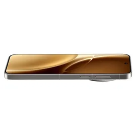 Vivo X300 Pro 16 GB RAM 512 GB Dune Braun