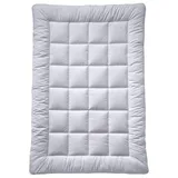 billerbeck Bettdecke Super Wash – ca. 135 x 200 cm – warme Winterdecke – MAGICfill® 95 – Hohlfaser – mit Wash-Egg
