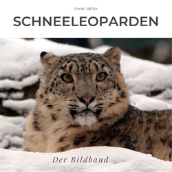 Schneeleoparden