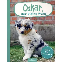 Oskar, der kleine Hund - Meine Tiergeschichte