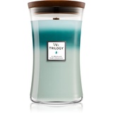 WoodWick Icy Woodland große Sanduhr Kerze 609 g