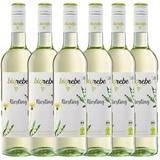 Biorebe Bio Riesling halbtrocken 0,75 l - 6er Karton