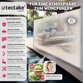 Tectake Aluminium Seitenmarkise 160 x 300 cm beige