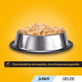 PEDIGREE Junior mit Huhn und Reis in Gelee 24 x 100 g