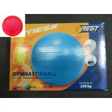 Best Sporting Gymnastikball Anthrazit 75 cm