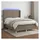 vidaXL Boxspringbett 140 x 200 cm Taupe