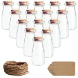 Belle Vous Mini Glasflaschen mit Korken, Etiketten und Schnur (30er Pack) - 100 ml - Kleine Phiolen zum Befüllen Luftdicht mit Etiketten für Hochzeitsgeschenke, Party, Küchengewürze und Marmelade