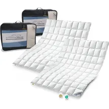 SPESSARTTRAUM 2 Stück Daunenpass Sommer Daunen Bettdecke Sommerdecke 320g 135x200 - Weiß