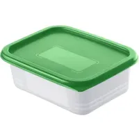 Rotho DOMINO Set Gefrierdosen, 4-teilig, 500 ml 1755105067 , Farbe: transparent/ pine grün