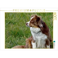 Calvendo Miniatur Australian Shepherd Puzzle