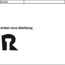 NORD-LOCK Scheiben 1.4547 NL10ss-254