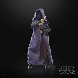 Hasbro Acolyte Mae Assassine Actionfigur 15 cm - Lila/Schwarz