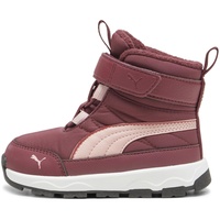 Puma Evolve Boots Kleinkinder, Dark Jasper-Future Pink-Astro Red, 25 EU