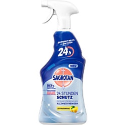 Sagrotan 24 Stunden Schutz Allzweckreiniger 3205840 6 Flaschen à 600 ml