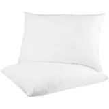 BestLivings Kopfkissen 2er Pack Mikrofaserbezug 40x80cm