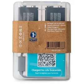 Pale Blue PB-9V 9V 500 mAh 2 St.