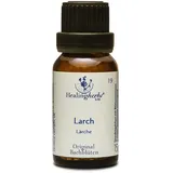 Healing Herbs Larch Original Bachblüten Globuli 15 g