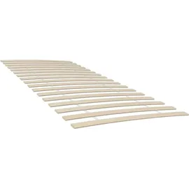 vidaXL Bettlattenrost Ersatz mit 48 Latten 2 Stk. 100 x 200 cm