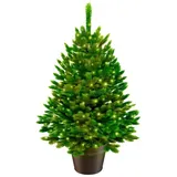 artitree Weihnachtsbaum »Premium Tanne«, im Topf mit LED, 40 cm - gruen