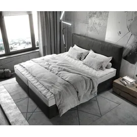 DeLife Dream-Well 180 x 200 cm H2 anthrazit vintage