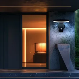 Expo Börse Wandlampe mit Bewegungsmelder LED Solarleuchte Haustürlampe Fassadenleuchte anthrazit Gartenlampe, 250lm, Kaltweiß, Bxh 24x21 cm