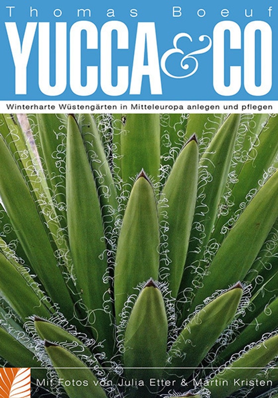 Yucca & Co - Thomas Boeuf, Kartoniert (TB)