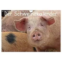 Calvendo Der Schweinekalender (Wandkalender 2026 DIN A4 quer), CALVENDO