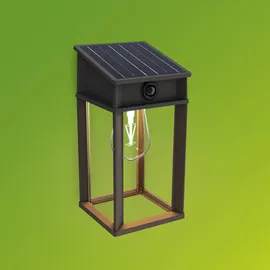 Philips Außenwandleuchte Solar 28,0 cm Glas Kunststoff Metall inkl. Bewegungsmelder schwarz
