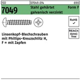 Reyher Blechschraube ISO 7049 LIKO Zapfen/PH F 2,9x22-H Stahl geh.galv.verz. 2000St.