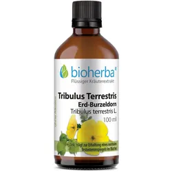 Tribulus Terrestris Erd-Burzeldorn Tropfen Tinktur 100 ml