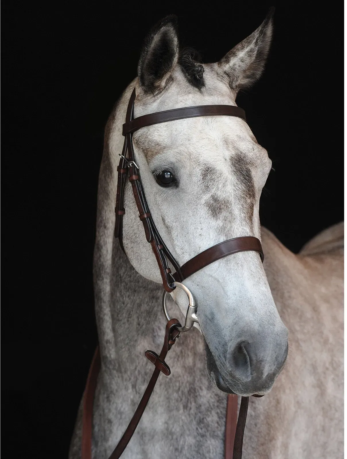 Collegiate Hunt Cavesson Zaum IV