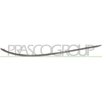 PRASCO Zier-/Schutzleiste, Stoßfänger Chrom Hinten Links ME0291274