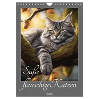 Calvendo Süße flauschige Katzen (Wandkalender 2026 DIN A4 hoch),