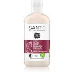 Sante Bio-Birkenblatt & pflanzliches Protein Family Glanz Shampoo szampon do włosów 250 ml