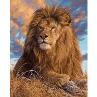 Pracht Creatives Hobby GmbH Diamond Painting Löwe 40 x 30 cm