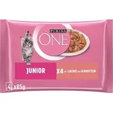 Purina ONE Junior Kittenfutter nass, zarte Stückchen in Sauce Lachs & Karotten, 12er Pack (12 x 4 à 85g)