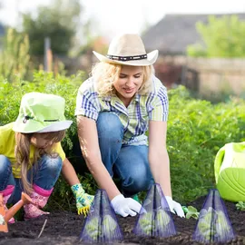 Relaxdays Pflanzenhut 32er Set Schneckenschutz Frostschutz HxBxT 22 x 19 x 19 cm lila