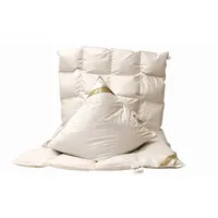 Betten Hofmann Set leichte Ganzjahresdecke Daunendecke Bettdecke 4x6 155x220 + Kissen 40x80 - Weiß