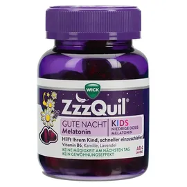 WICK Zzzquil Gute Nacht Kids 30 St.