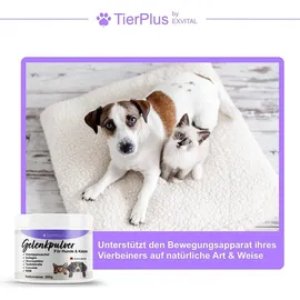 Exvital TierPlus Gelenkpulver für Hunde & Katzen mit Grünlippmuschel, MSM, Kollagen 200 g