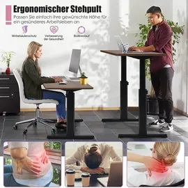 Costway Elektrischer Stehschreibtisch mit Memory-Steuerung, 73-122cm verstellbar - Braun