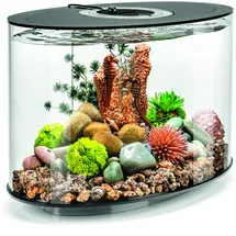 Oase biOrb Aquarium biOrb LOOP 15 LED schwarz