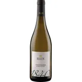 H. Lun Pinot Bianco 2024